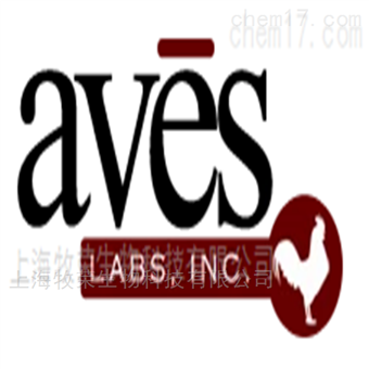 Aveslabs 抗胶质纤维酸性蛋白抗体