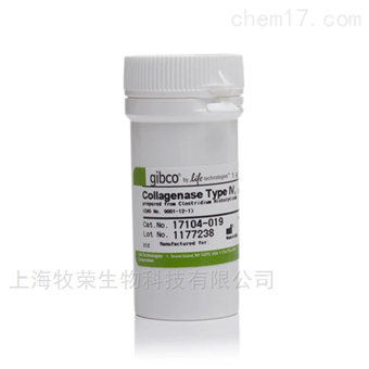 现货常用生化试剂Gibco：17104019